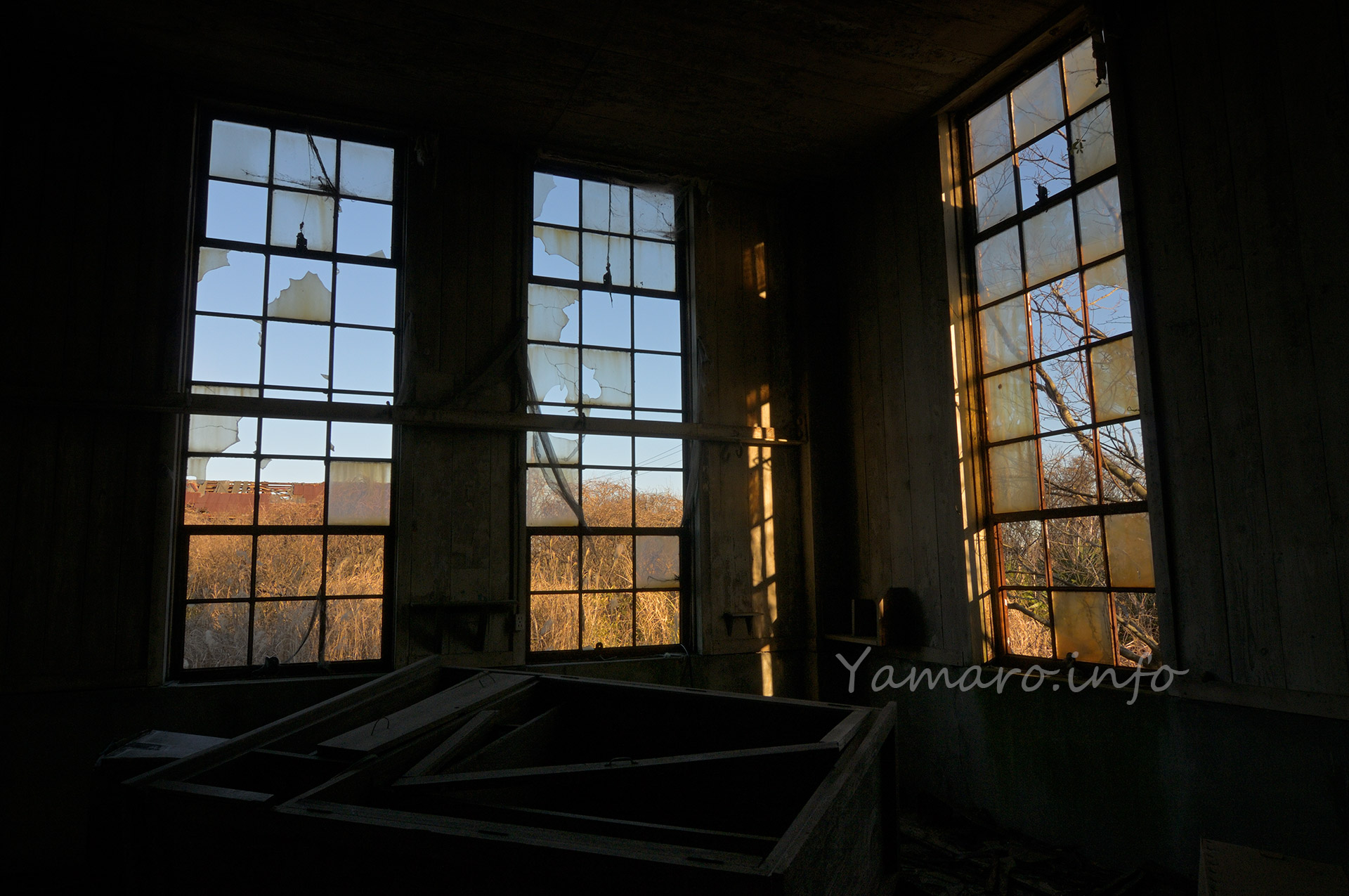 中に入ると、ガラス保半分以上がなくなった窓が印象的。廃墟における窓は、光と影の境目。