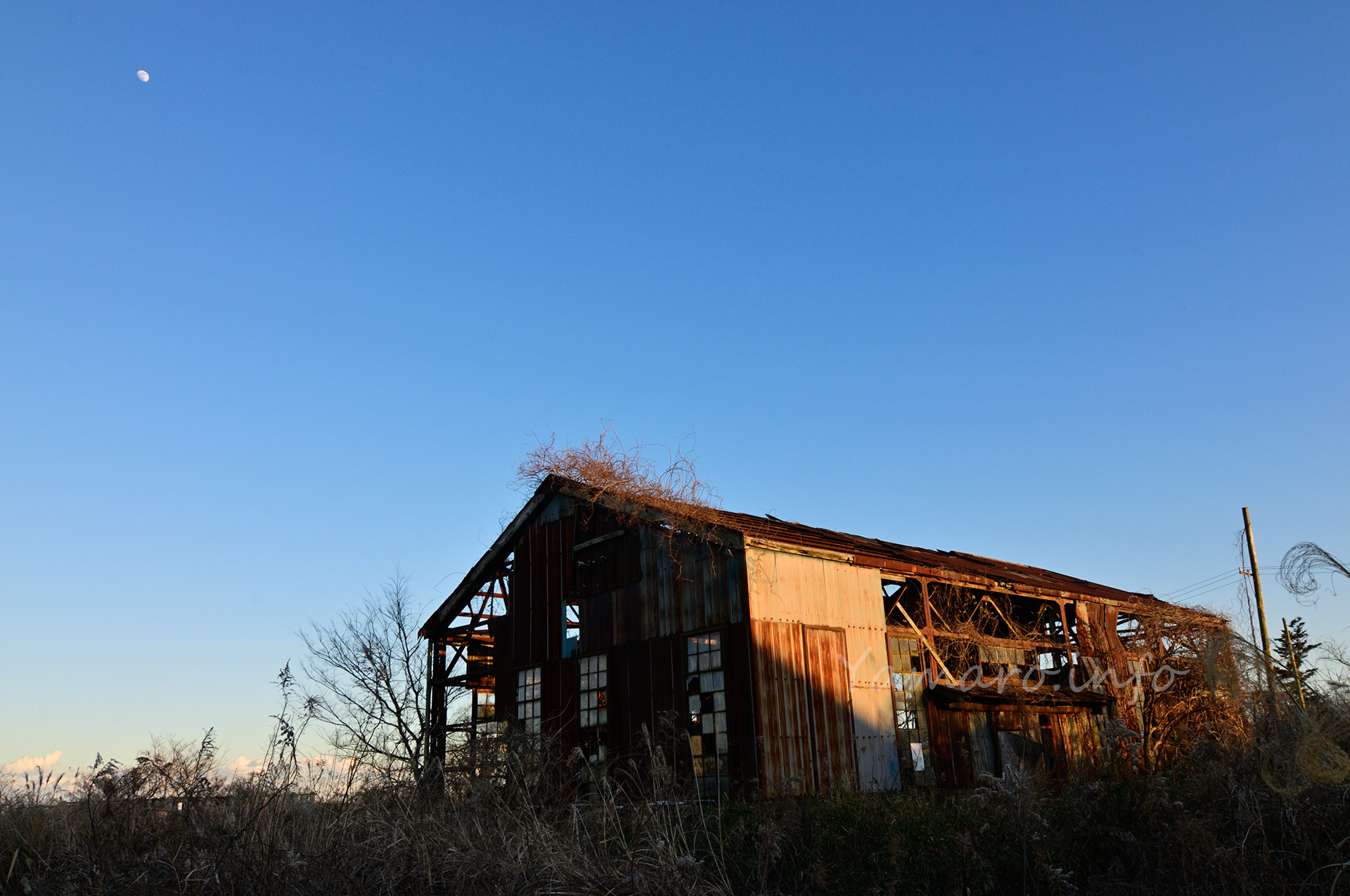 月が見えていた。