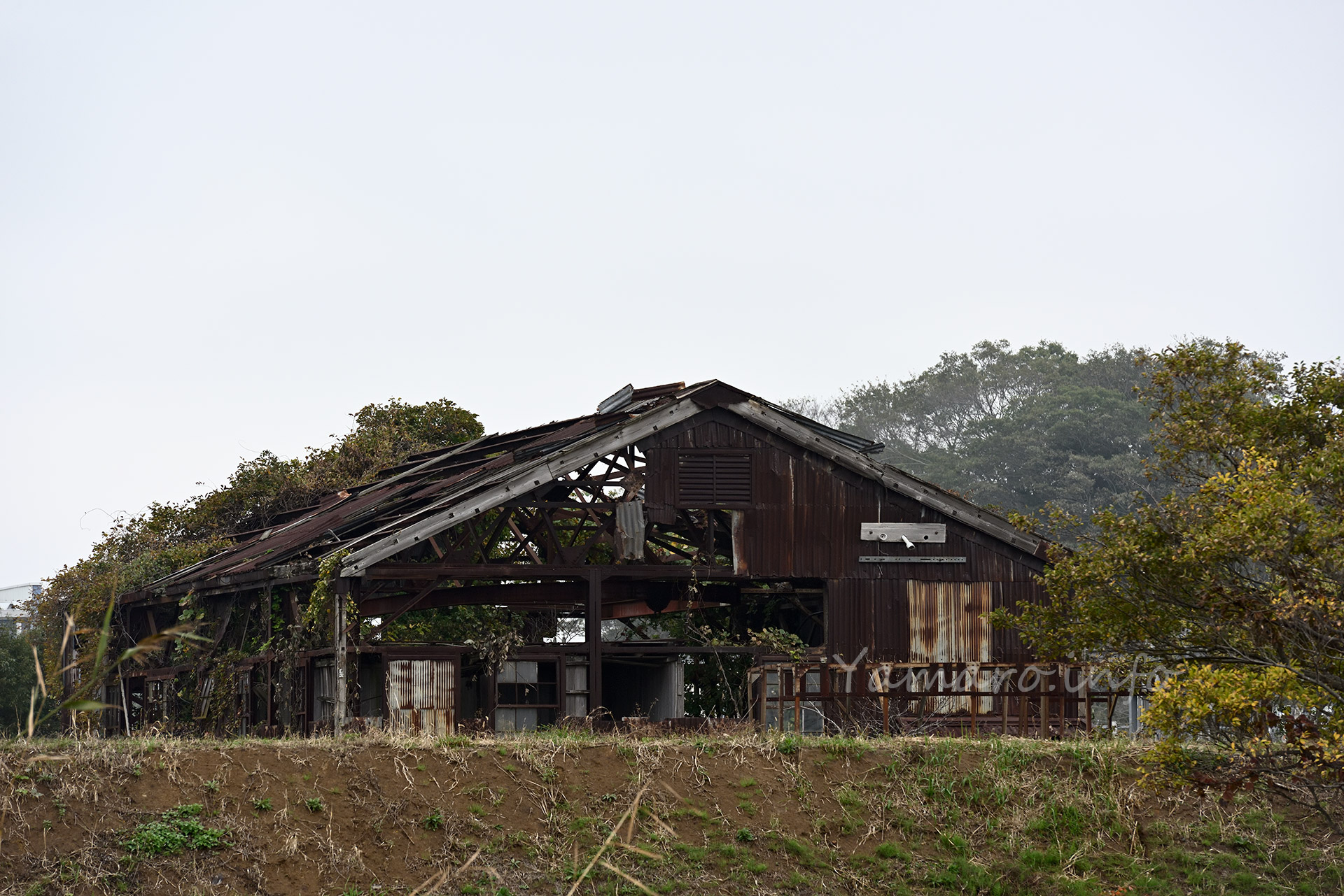 霞ヶ浦分院クローズアップ。元々鹿島海軍司令部庁舎だっ建物は、1946年に東京医科歯科大学霞ヶ浦分院として利用され、1997年まで稼働していた。テレビアンテナや水タンクも設置されていたが、2011年に健在だってテレビアンテナは、折れてしまった。