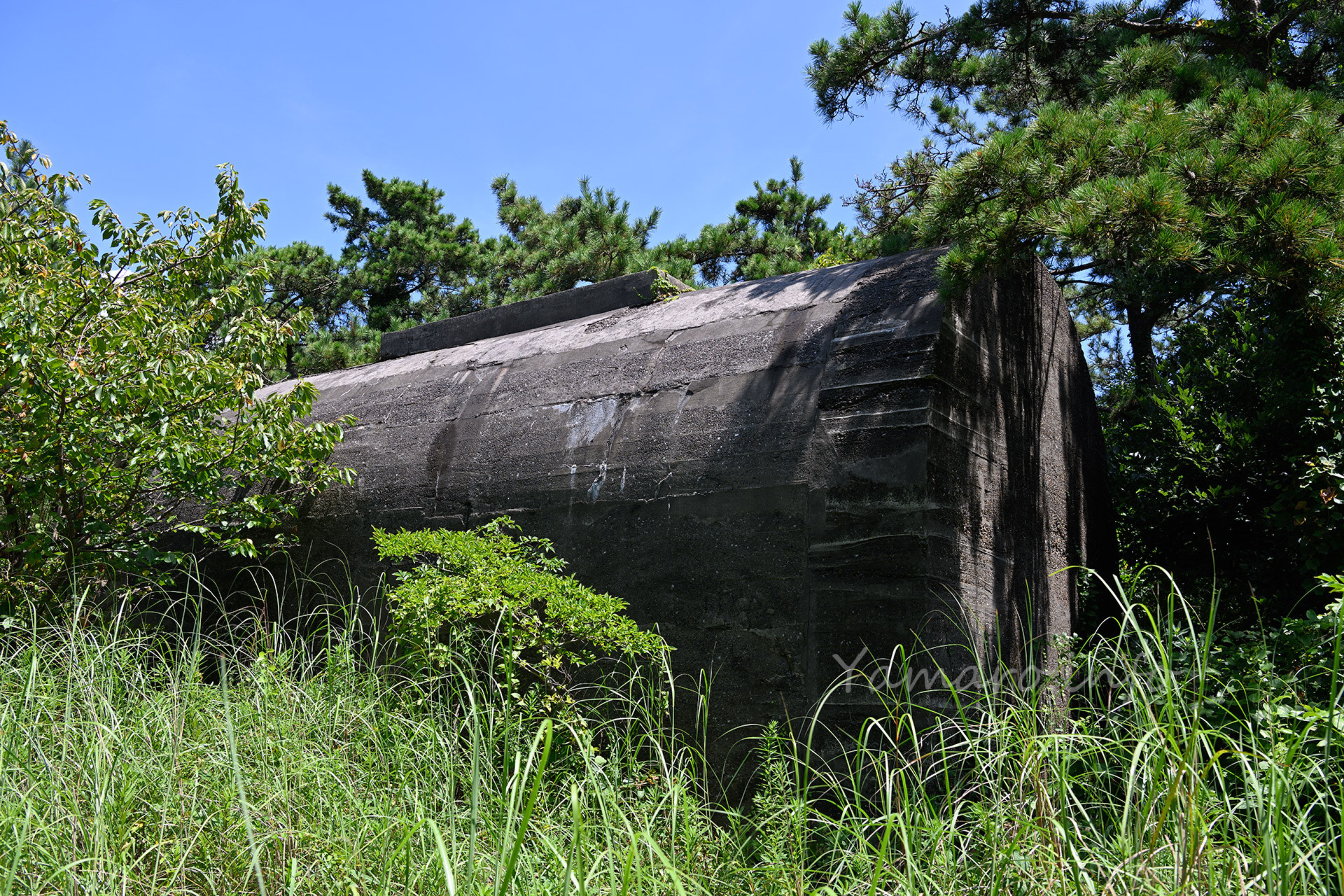 筒状の建物は、「射入窖」（しゃにゅうこう）という、機関銃や小銃などの射撃試験をするところです。