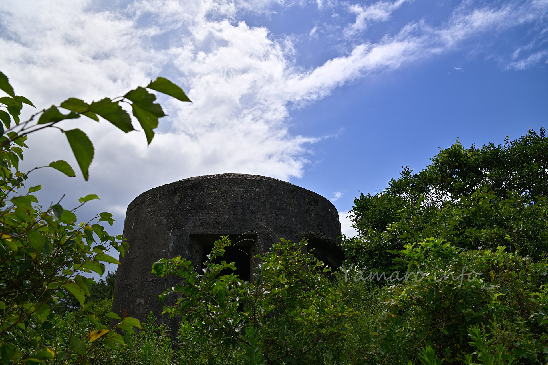 こんな感じで草に埋もれながらも進入。
