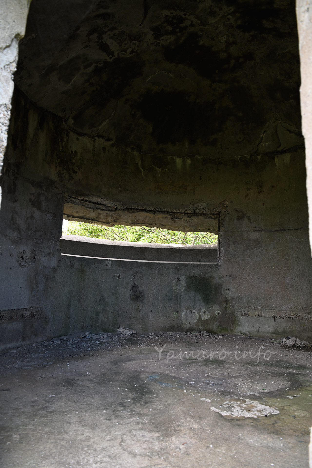 中を覗き込むと、当然ながらガランドウ。