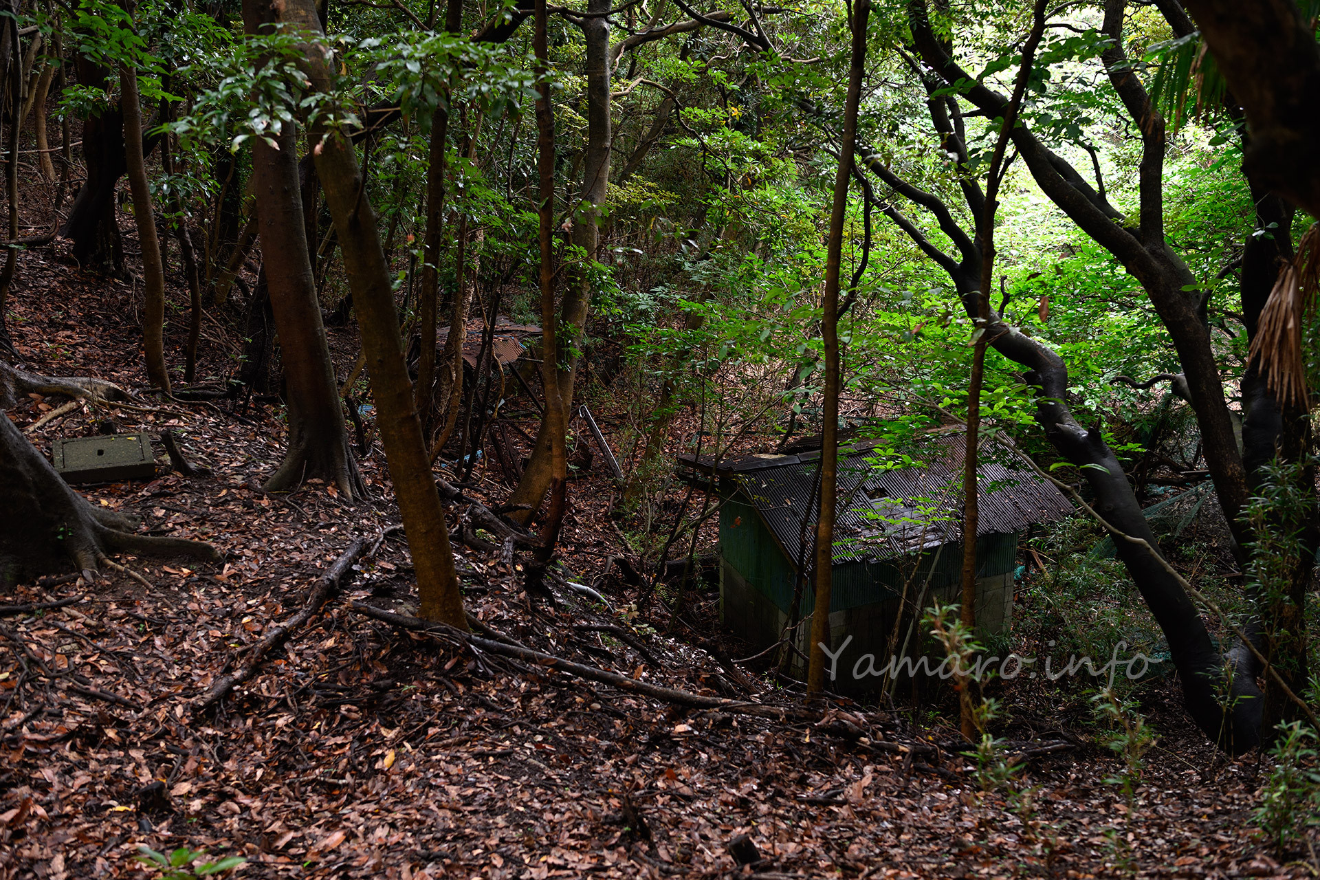 小屋らしきものが点在する。