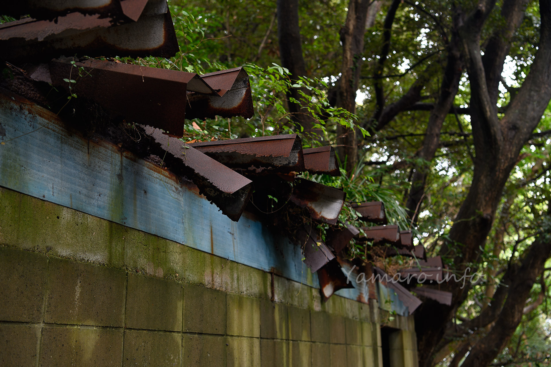 屋根は腐食し、崩壊しつつあります。