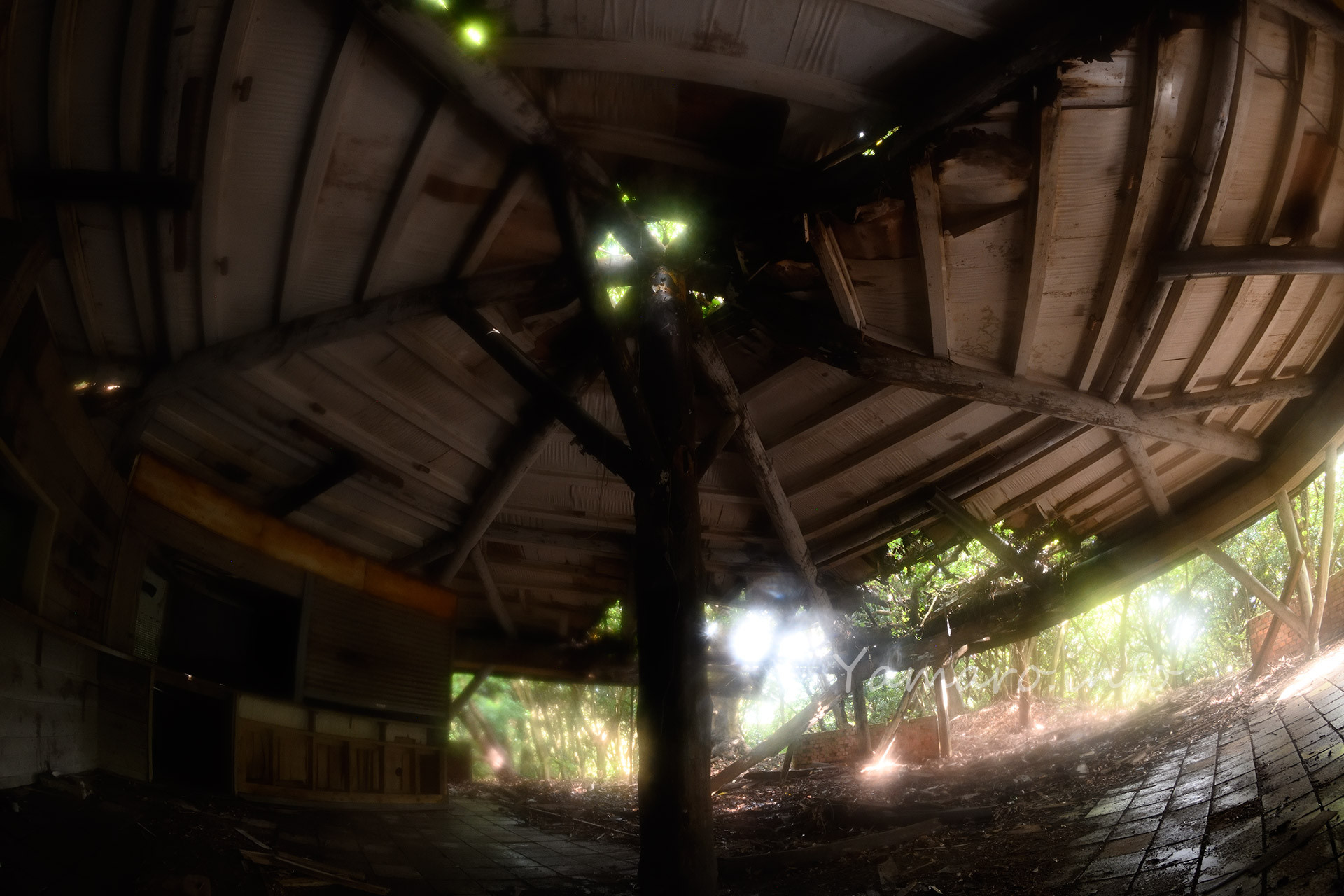 ここで幻想的に撮れてしまって何事かとレンズを見ると、油らしきものが付着。拭っても撮れないのでレンズを標準ズームに切り替える。