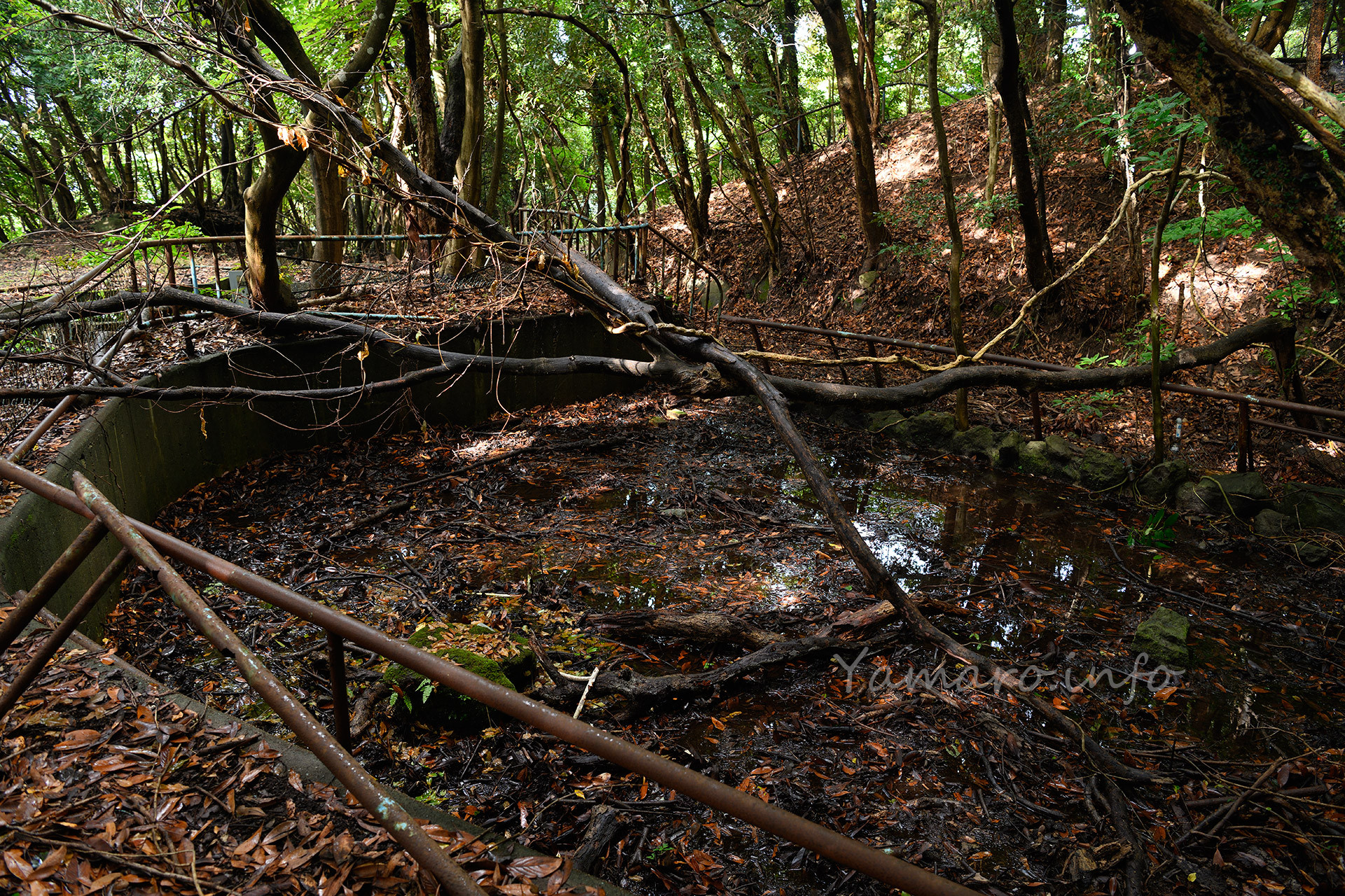 砲台跡に作られた池。枯れ葉で覆われて生き物もいなそ。う