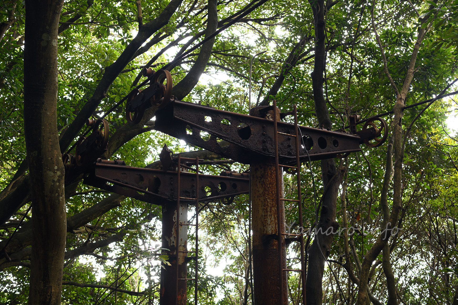 錆びているけどまだ倒壊しそうにないリフトの支柱。頑丈に作られているのがわかります。