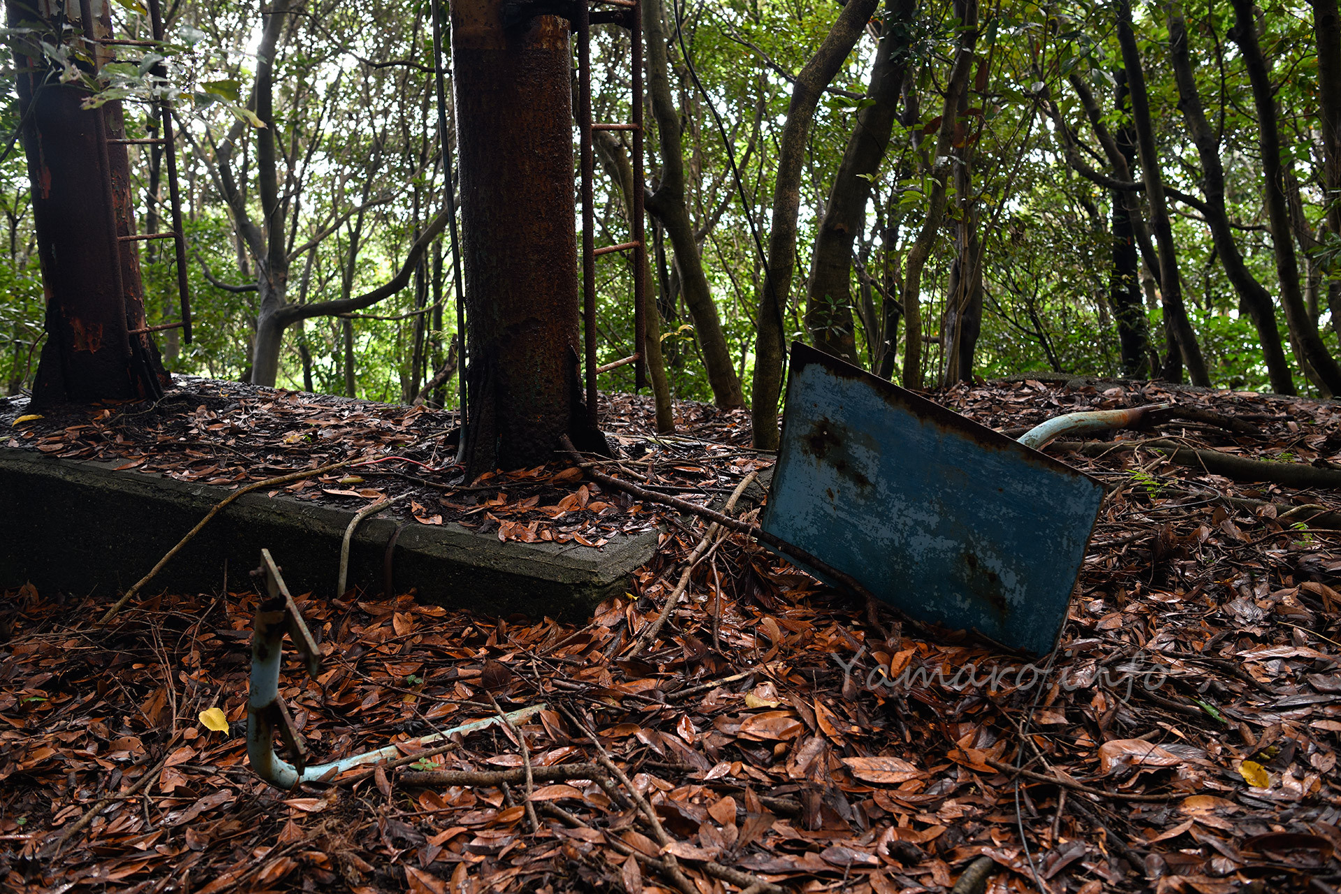 先程の謎の物体は、どうやらリフトの座面のようです。昔スキー場でもよく見た一人乗りタイプのリフトです。
