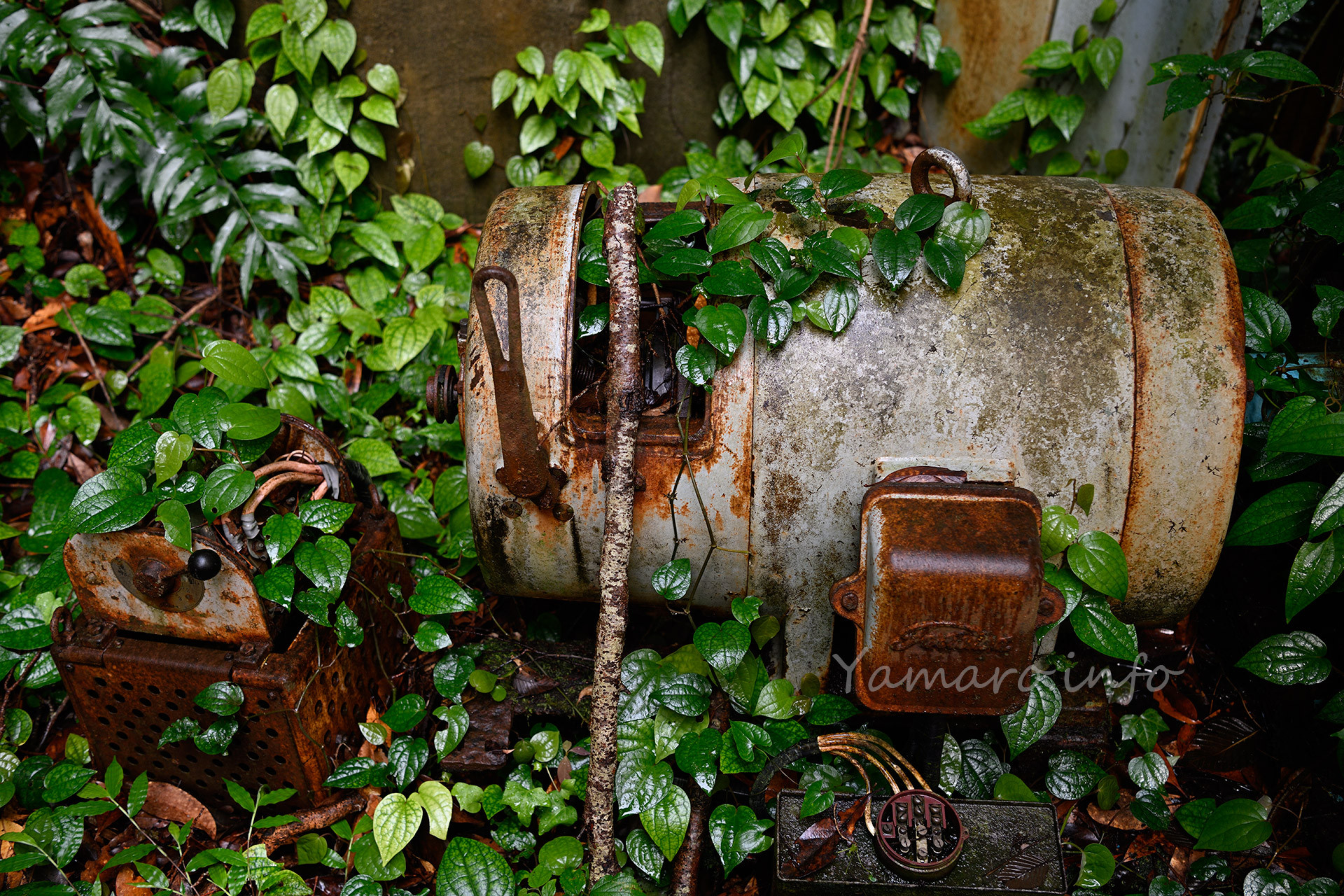 東芝製のモートル（モータ）。