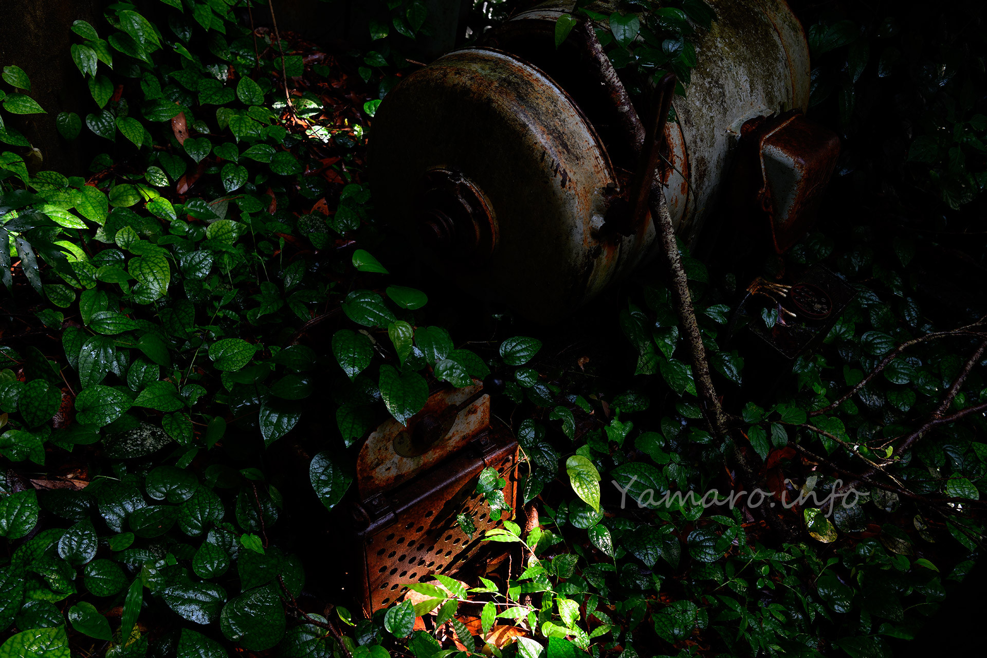 光と影の対比が美しい（自画自賛）。