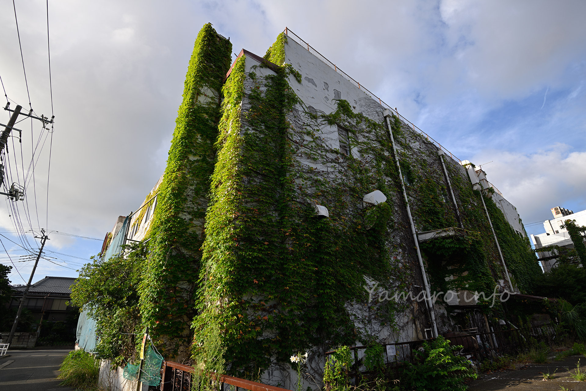 ホテル裏手。蔦に覆われています。すぐ隣は駐車場ですが、ホテルの外壁崩壊の危険性もあるためか、ホテル側は駐車スペースとして使われていなかったです。