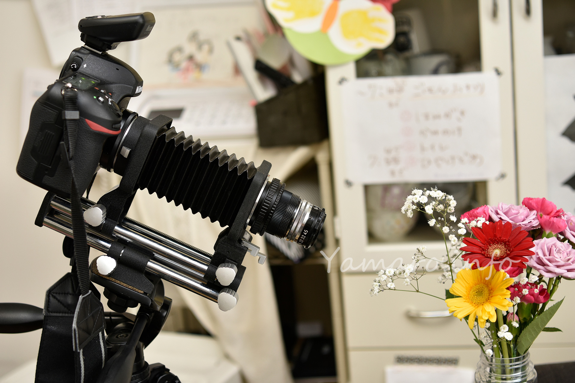 NikonベローズPB-4で花を撮ってみた - Blog@yamaro.info
